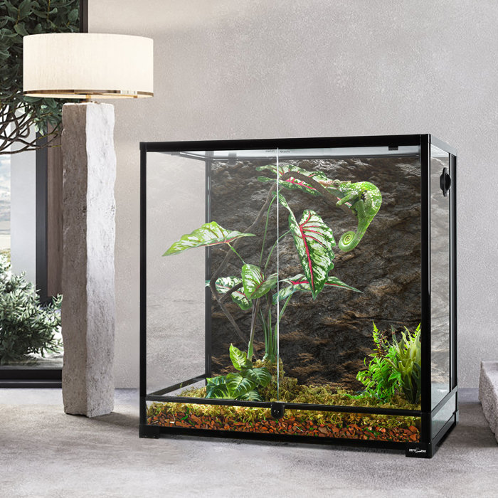 Reptizoo 30 X 18 X 30 Reptile Terrarium Wayfair